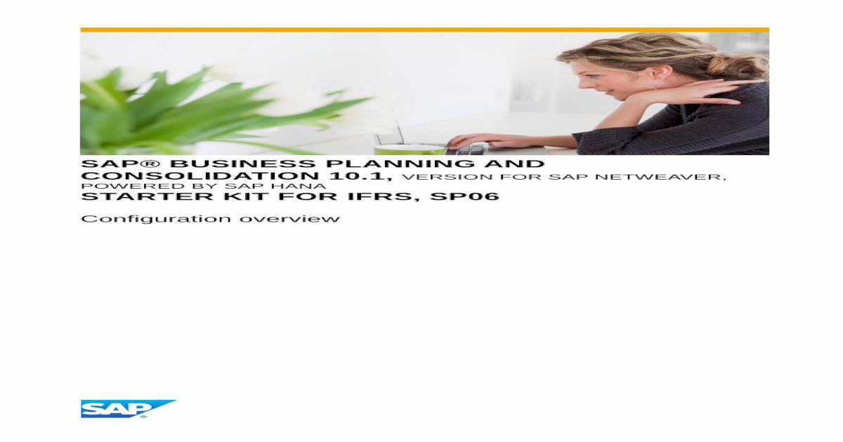 sap business planning and consolidation 10.1 version for sap netweaver