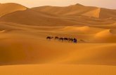 Colors of the World_ Deserts
