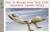 How to Borrow From Your Life Insurance Canada Policy