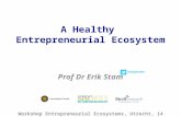 Healthy Entrepreneurial Ecosystems