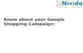 Sneak Peek into Google Shopping Campaign
