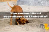 The secret life of recruiters on linked in