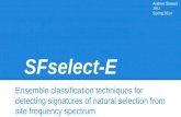 Ensemble classification techniques for detecting signatures of natural selection from site frequency spectrum