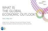 OECD's Economic Projections launch 6 May 2014