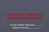 Train the trainer overhead Cranes operation training