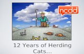 12 Years of Herding Cats: Lessons from the NCDD Board on Engaging the Engagers