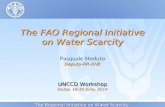 Day 3  FAO The FAO Regional Initiative on Water Scarcity