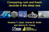 Comparing rock and fossil records in the deep sea