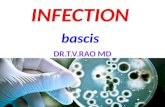 Infection lecture basics