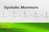 Systolic murmurs