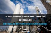 Platts 2014 conference presentation (steel sector in russia)   berlin, 2-3 june 2014