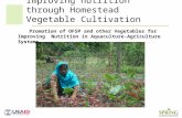 Improving nutrition through Homestead Vegetable Cultivation