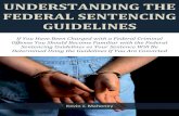 Understanding the Federal Sentencing Guidelines