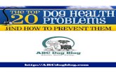 The top 20 dog health abc dog blog
