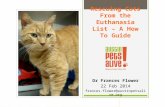 Rescuing Cats from the Euthanasia List