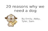 21 reasons why we should get a dog