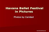 Havana Ballet Festival