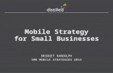 Mobile Strategy for Small Businesses - SME Mobile Strategies 2014