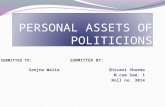 personal assets of politicians