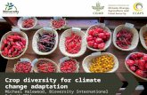 Crop diversity for climate change adaptation