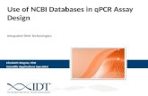 Use of NCBI Databases in qPCR Assay Design