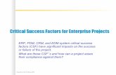 Critical Success Factors for ERP