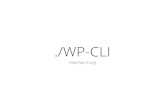 Playing with WP-CLI (WordPress Command Line Interface)