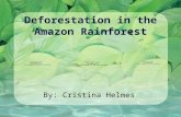 Amazon deforestation presentation