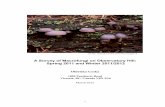 A survey of macrofungi on observatory hill – spring 2011 and winter 2011   2012