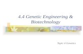 4.4 genetic engineering & biotechnology