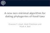 A new non-minimal algorithm for dating phylogenies of fossil taxa