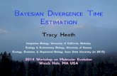 Bayesian Divergence Time Estimation – Workshop Lecture