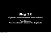 Blogs in 2009