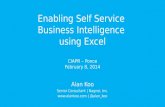 Business Intelligence solutions using Excel 2013 and Power BI