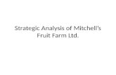 Strategic Analysis of Mitchell’s Fruit Farm Ltd