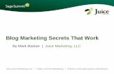 Blog Marketing Secrets That Work - Sage Summit
