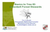 Tim Culbreth: Tree ID Presentation