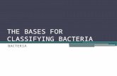 The bases for classifying bacteria