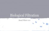 Biological Sand Filtration by Brian Koser