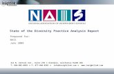 Nais state of diversity practice public summary