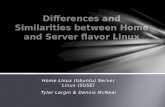 Server and home linux