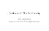 Business in north norway
