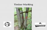 Timber Marking Ppt Slideshow & Notes Part 1 Ppt97