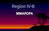 MIMAROPA (Region 4B)