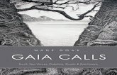 GAIA CALLS: South Sea Voices, Dolphins, Sharks & Rainforests [SAMPLE]