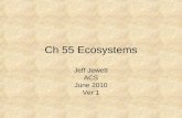 Ch 55 ecosystems