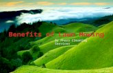 Benifits of Lawn Mowing by Pharo Cleaning Services