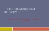 The Classroom Survey. Gymnasium Troyeshchyna. Kyiv. Ukraine