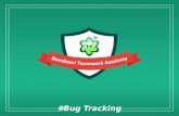 BamBam! Teamwork Academy: Bug Tracking