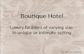 LECTURE 1 - Boutique Hotel Design Project - VDIS10006 Restoration Interiors 1